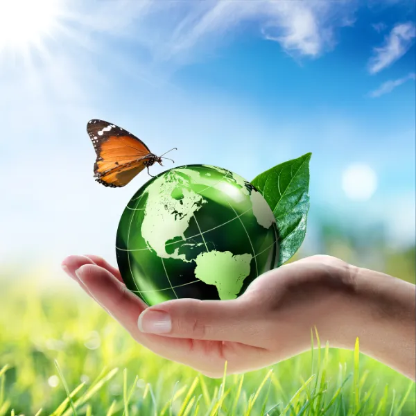 Green Staffing Solutions: Sustainability In Healthcare Recruitment